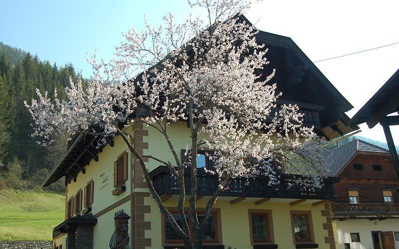 Haus Garz Lägenhet Weissensee Exteriör bild